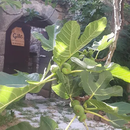 Entre Eaux Et Roches - Dans Maison Ardechoise De Caractere